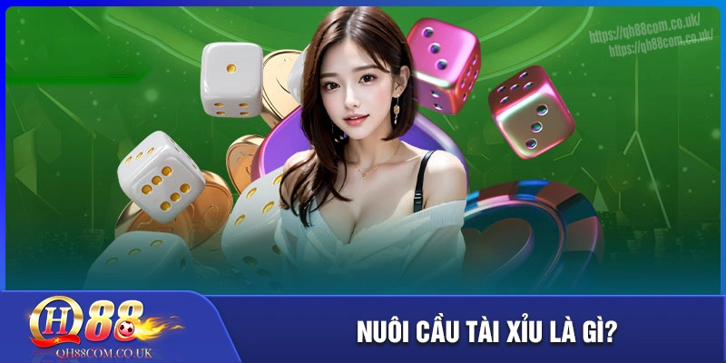 Kinh nghiệm nuôi cầu tài xỉu hiệu quả không nên bỏ qua 